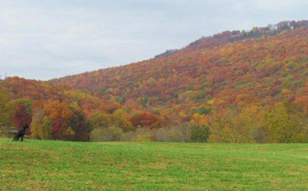 Tennessee Room At Tennessee Riverplace تشاتانوغا المظهر الخارجي الصورة