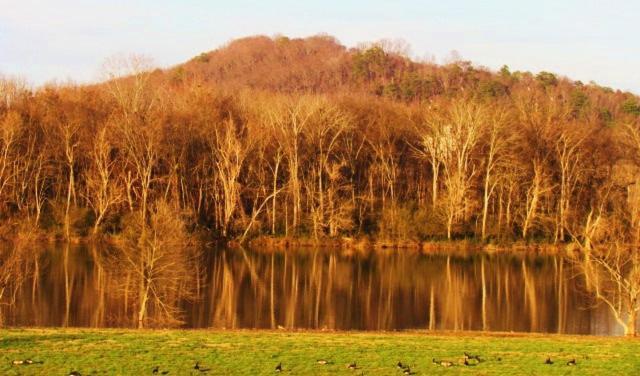 Tennessee Room At Tennessee Riverplace تشاتانوغا المظهر الخارجي الصورة